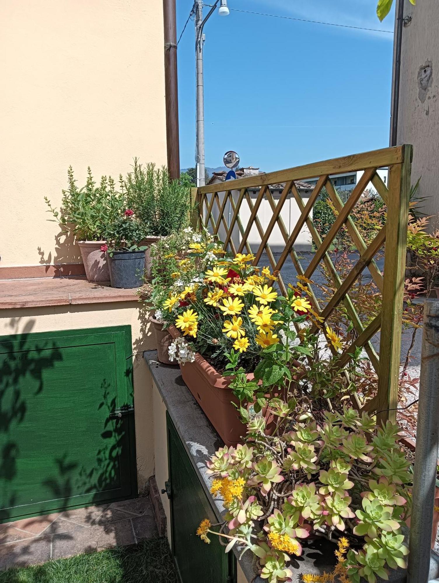 Casa Vacanze Rustico Di Corte Capannori Luaran gambar