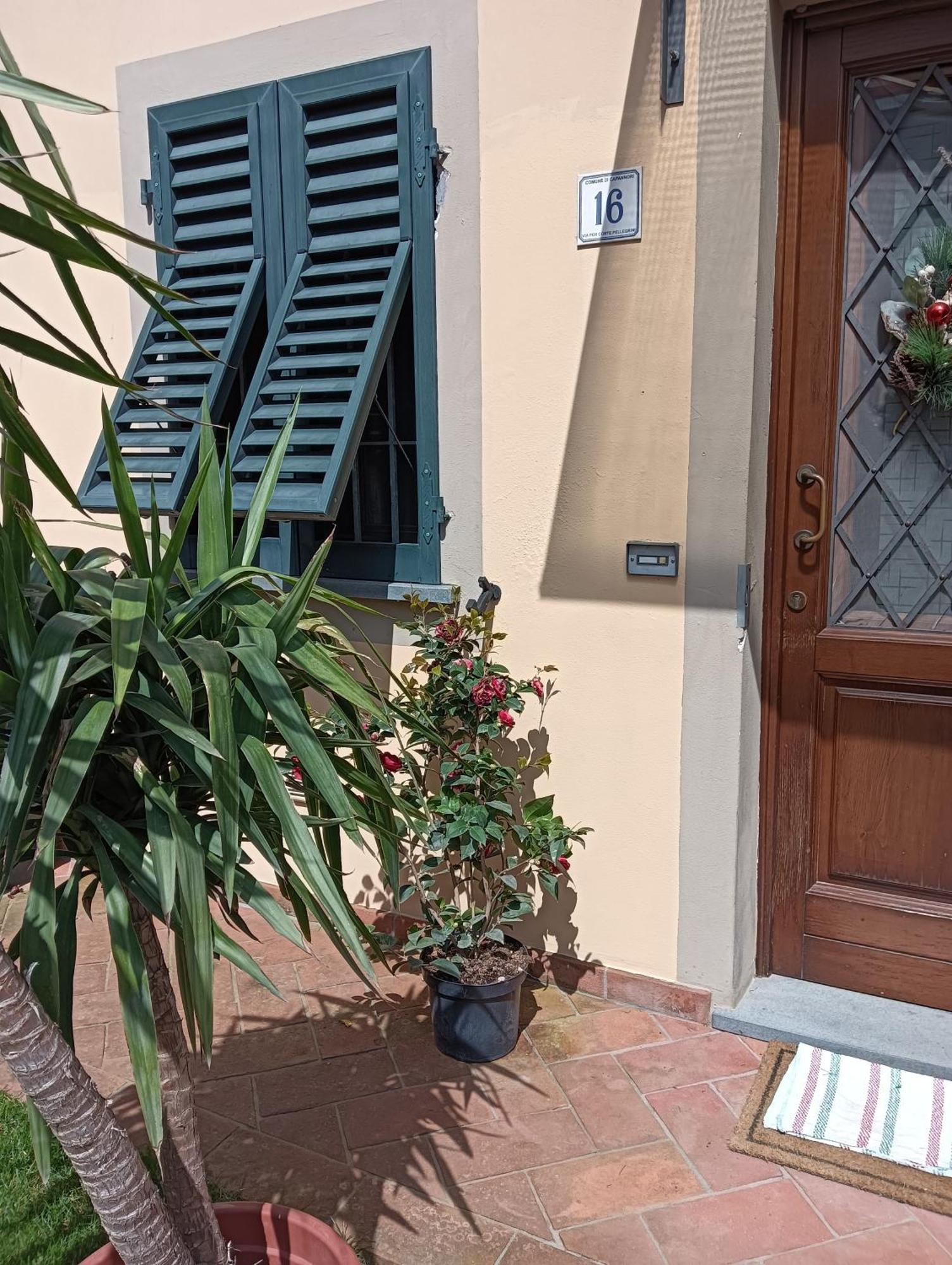 Casa Vacanze Rustico Di Corte Capannori Luaran gambar